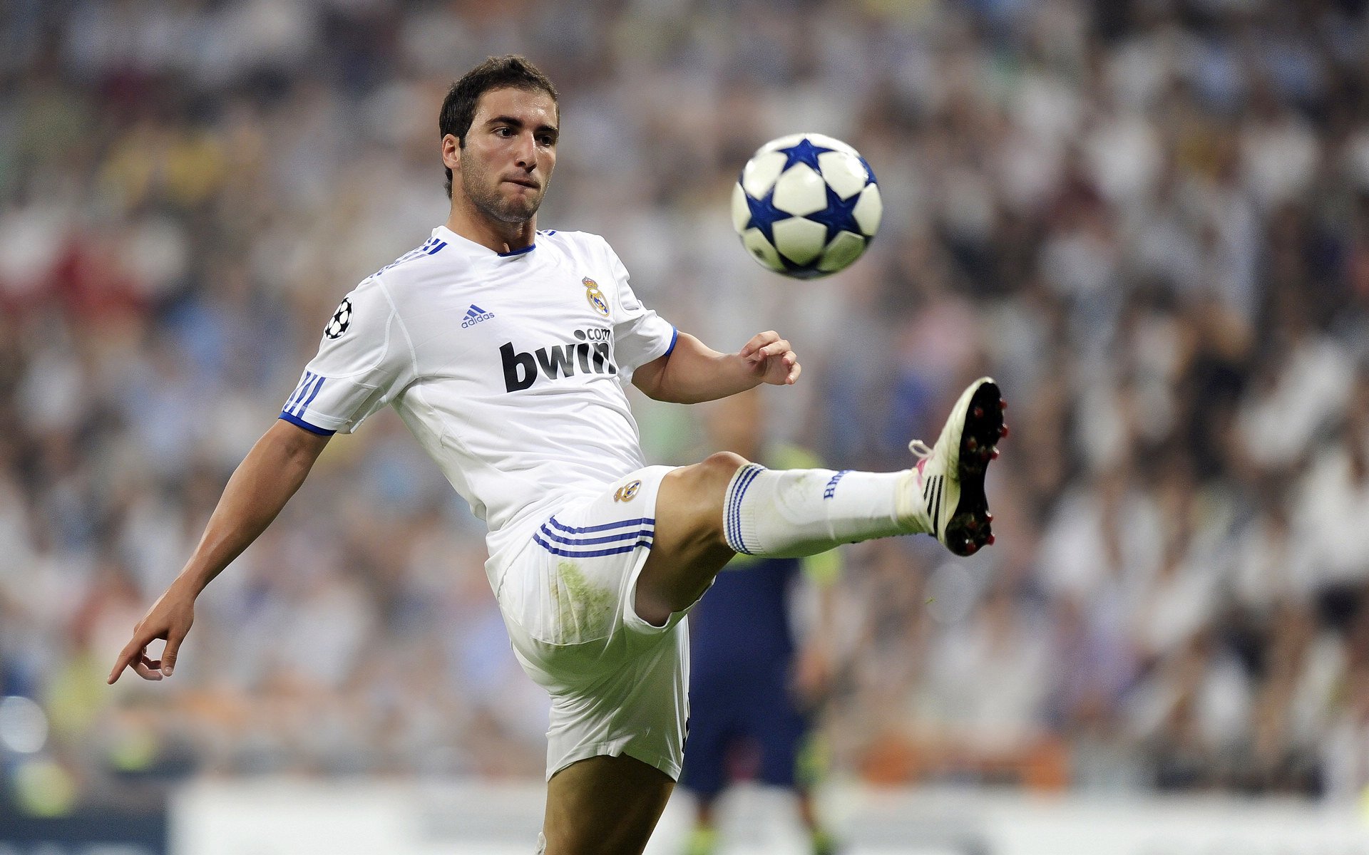 “马丁·高尔西的突破性表现，未来橄榄球赛场的巨星”